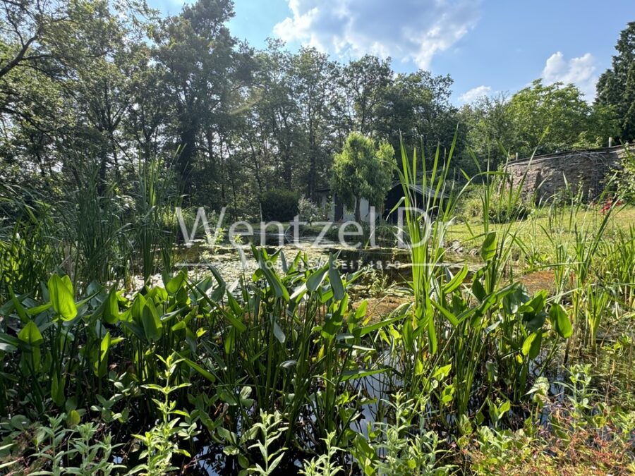 In den heutigen Zeiten braucht man einen Ort für Rückzug und Erholung - diesen finden Sie hier! - Am Teich