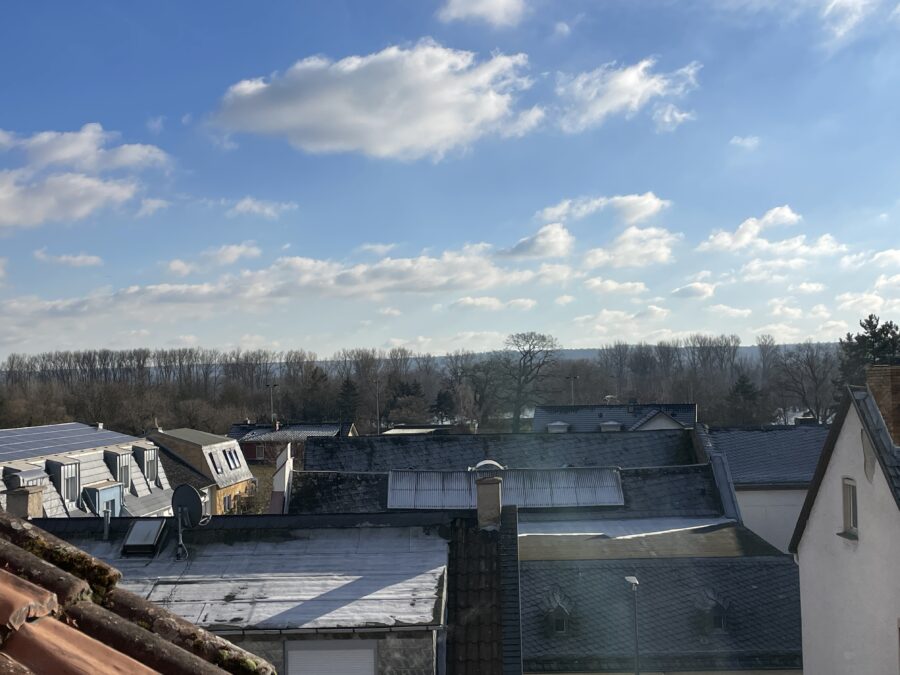 Wunderschöne 3 ZKBB in ruhiger Lage in Hattenheim - Ausblick Terrasse