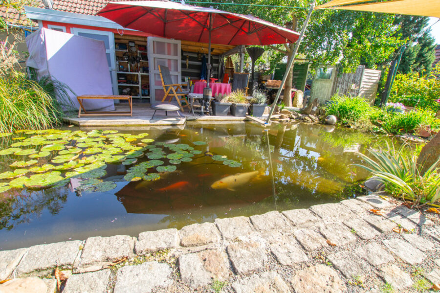 Tolles Einfamilienhaus mit herrlichem Garten in Nünchritz - Teich mit Terrasse