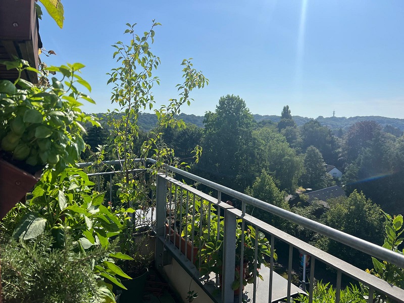 2 Zimmer Wohnung mit Dachterrasse - Blick von der Terrasse