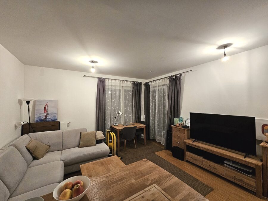 Moderne Single- oder Pärchenwohnung in Stadtparknähe - Wohnzimmer