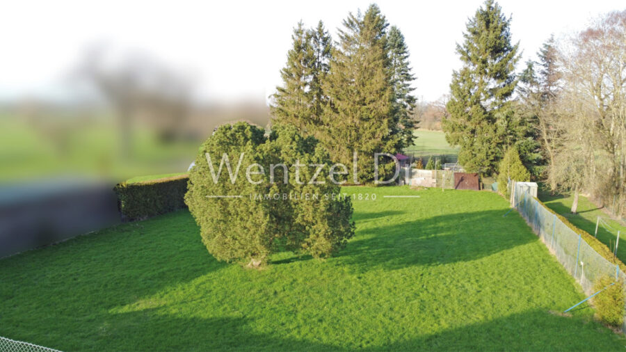 Geräumiges Einfamilienhaus mit viel Potenzial auf ca. 3.055 m² Grundstück! - Gartenbereich